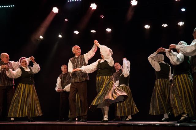 sdk "Dobelnieki"